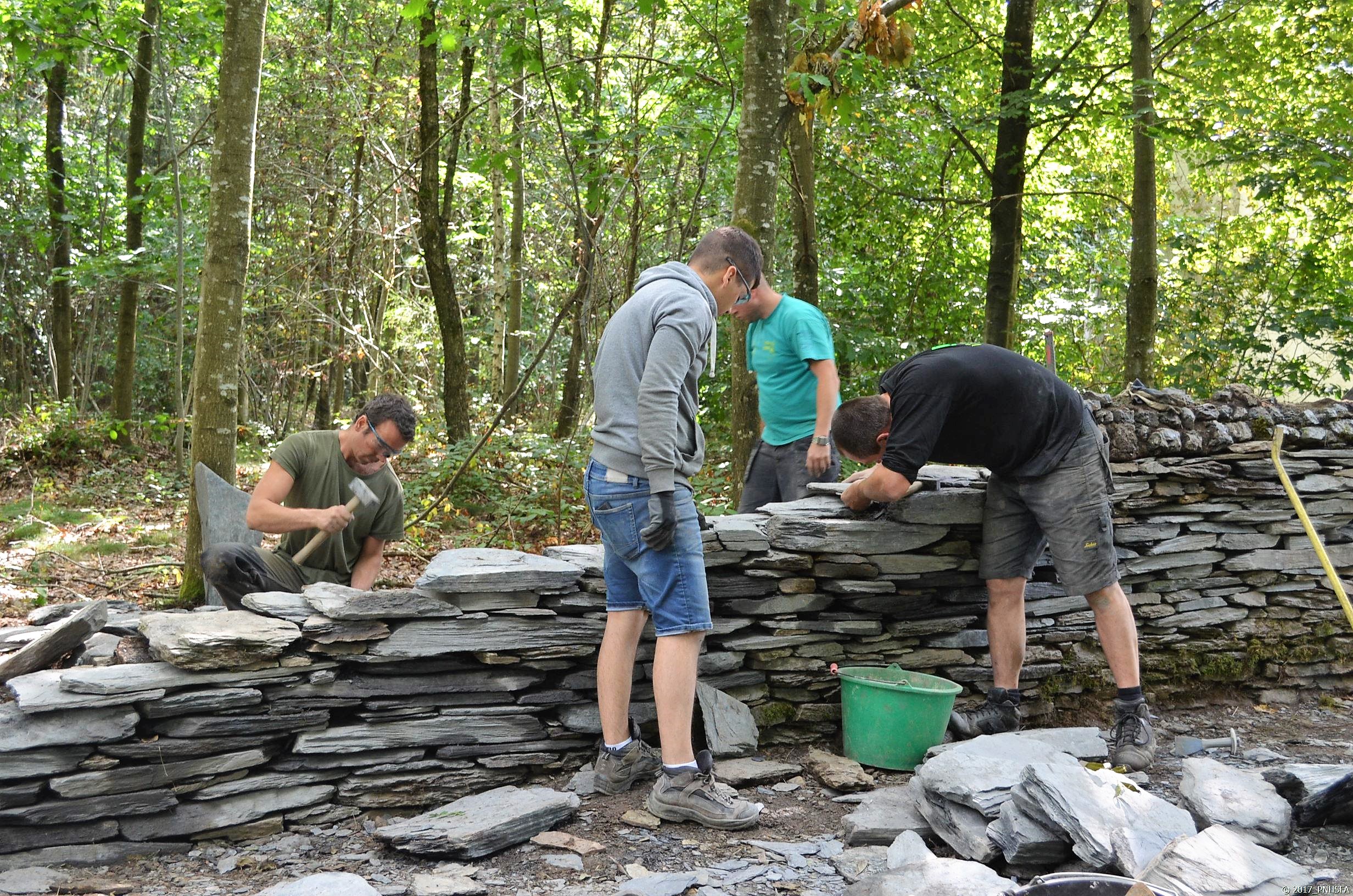 Deux parcs naturels forment des « murailleurs »…