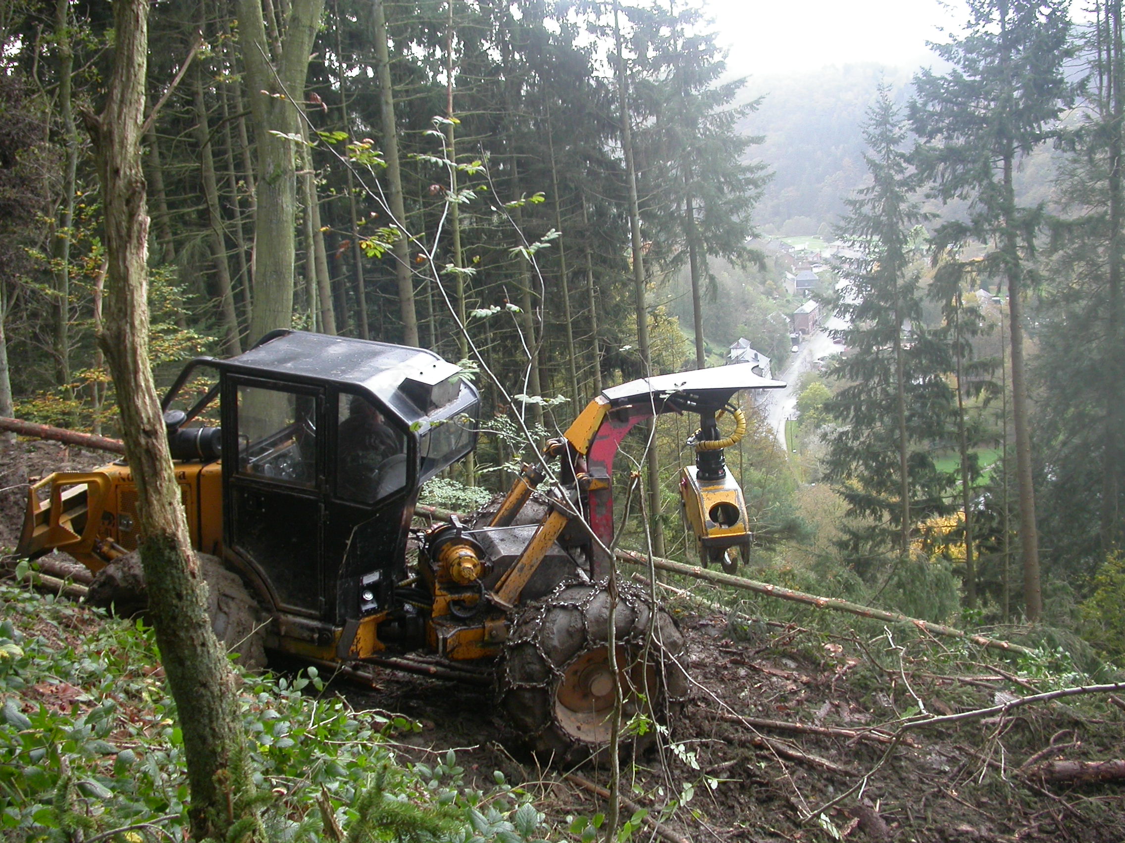 Restauration de la montagne du Deister à La Roche-en-Ardenne