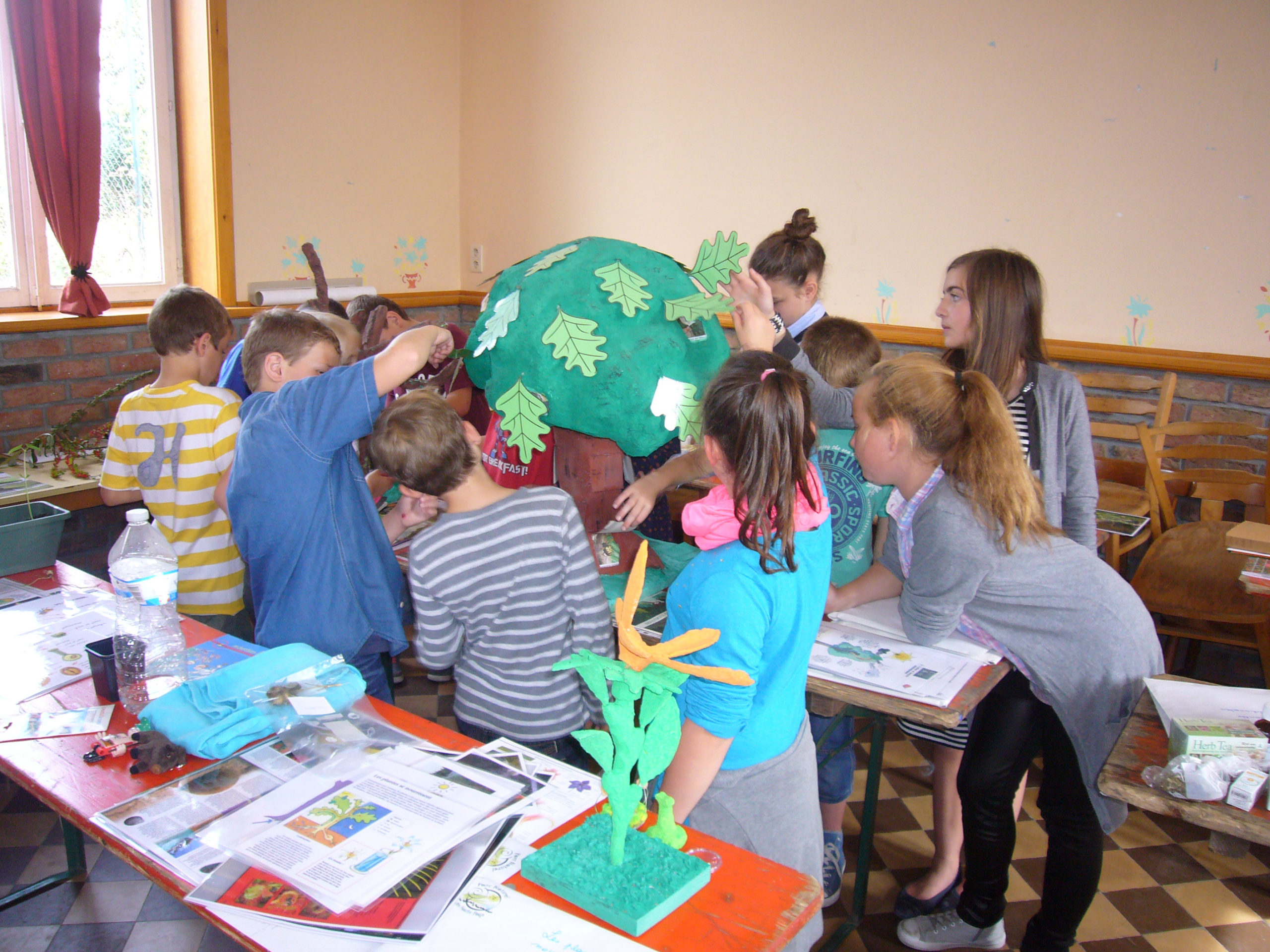 Les botanistes en herbe : une exposition didactique