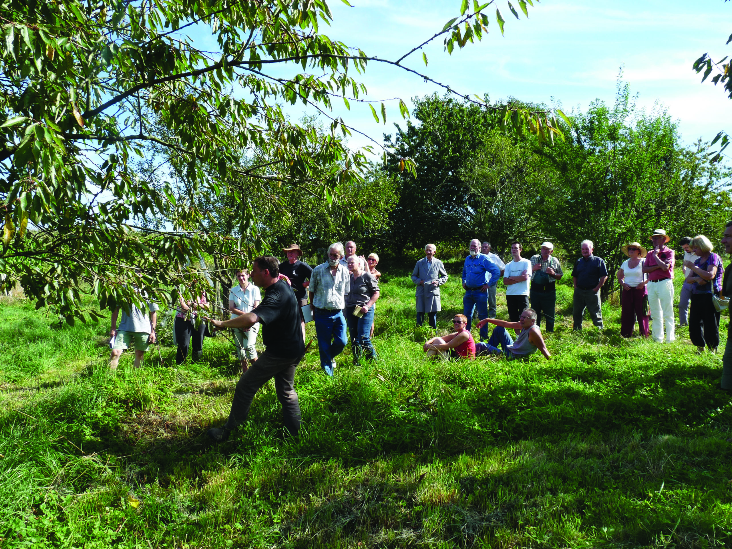 Préservons notre patrimoine génétique fruitier local