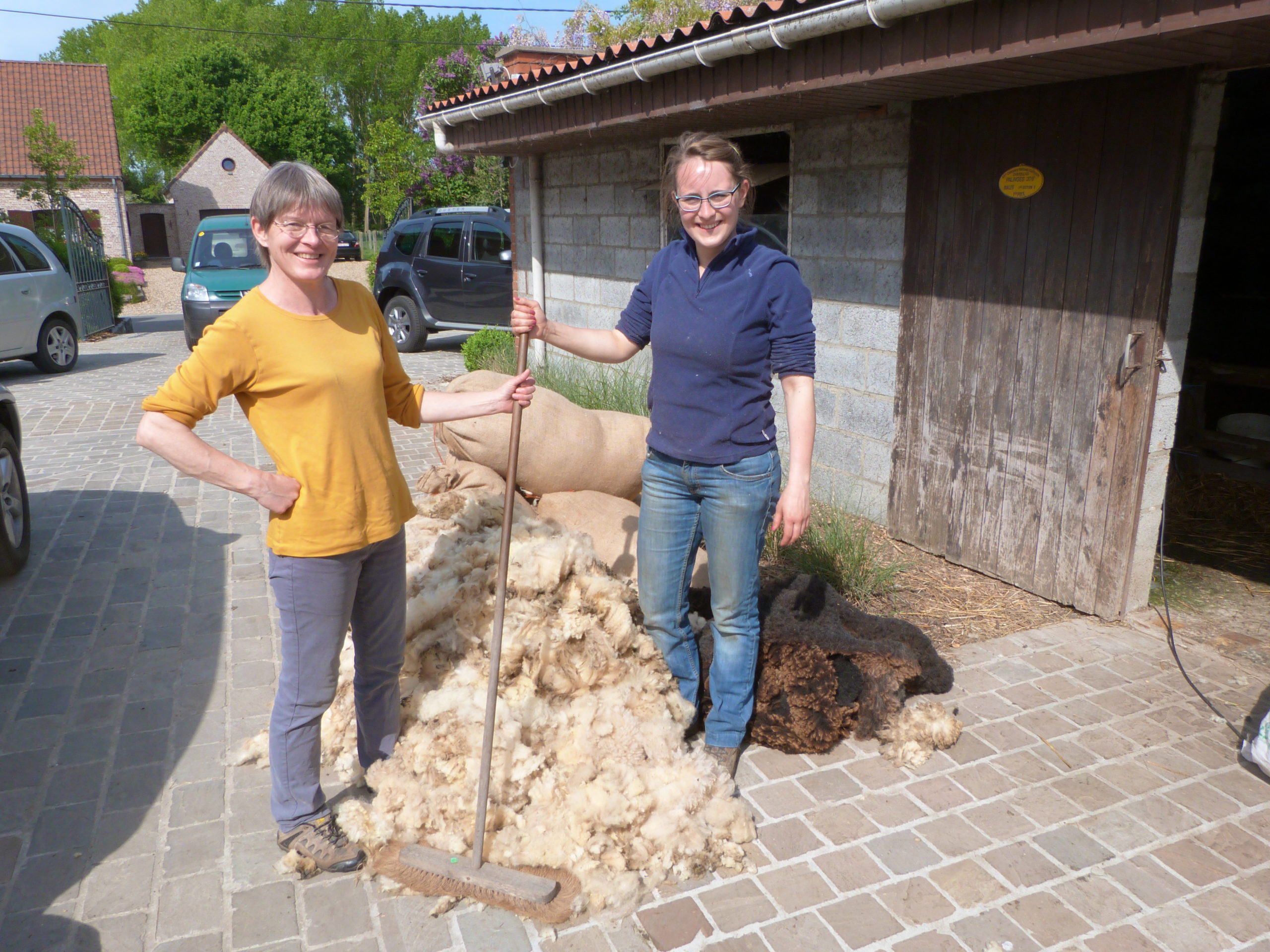 Une filière laine au Pays des Collines