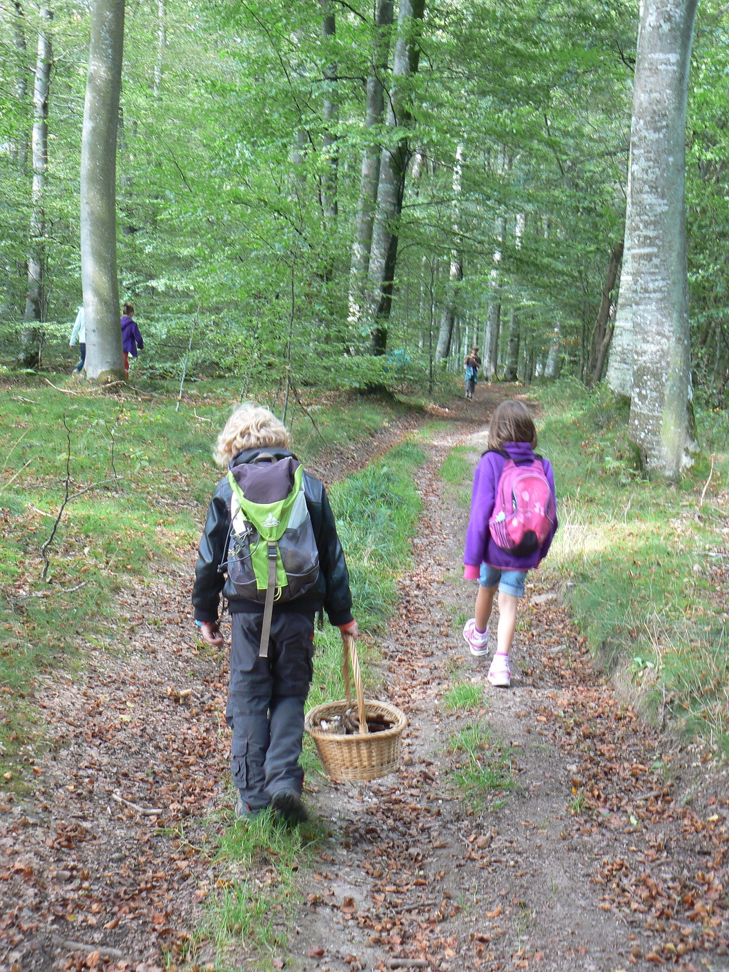 Les mercredis après-midi du Parc naturel