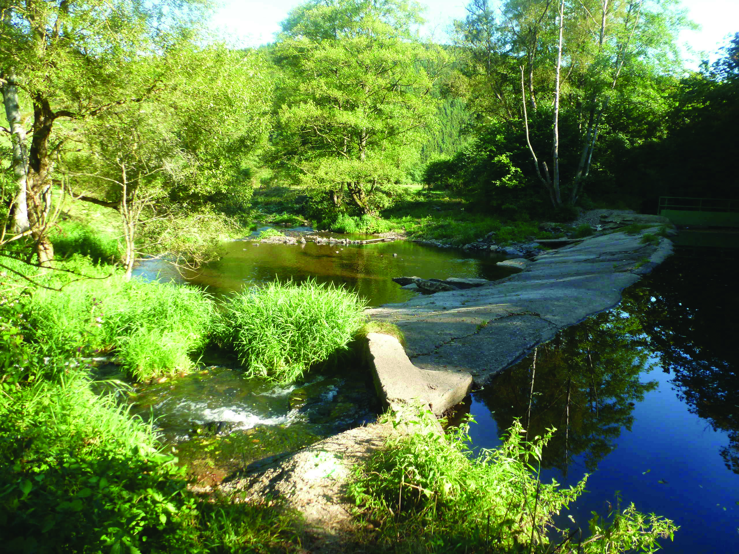 Le contrat de rivière moselle