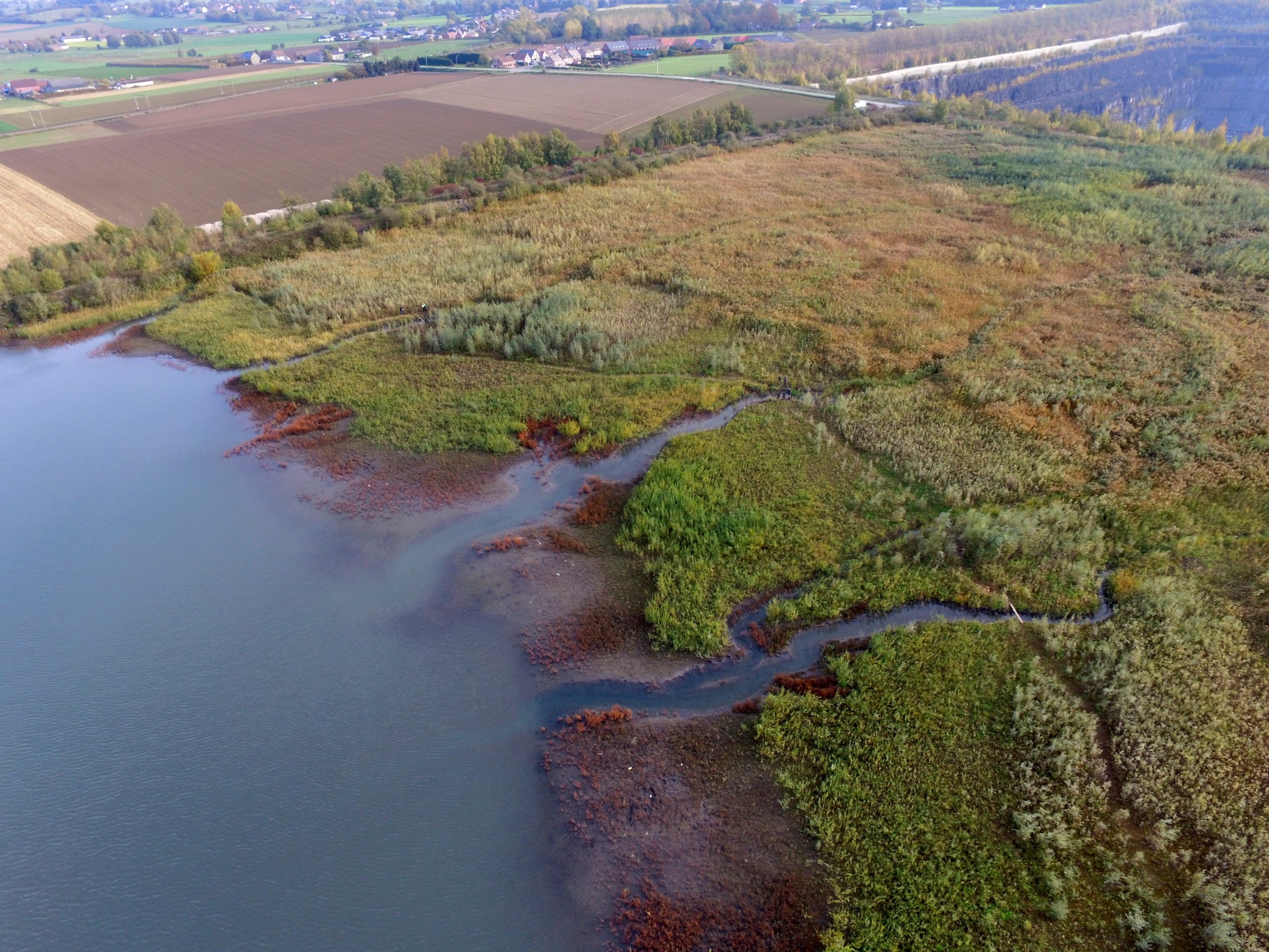Éco-pâturage à Gaurain