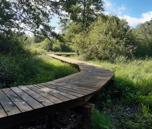 Habay, traverser une zone humide les pieds au sec