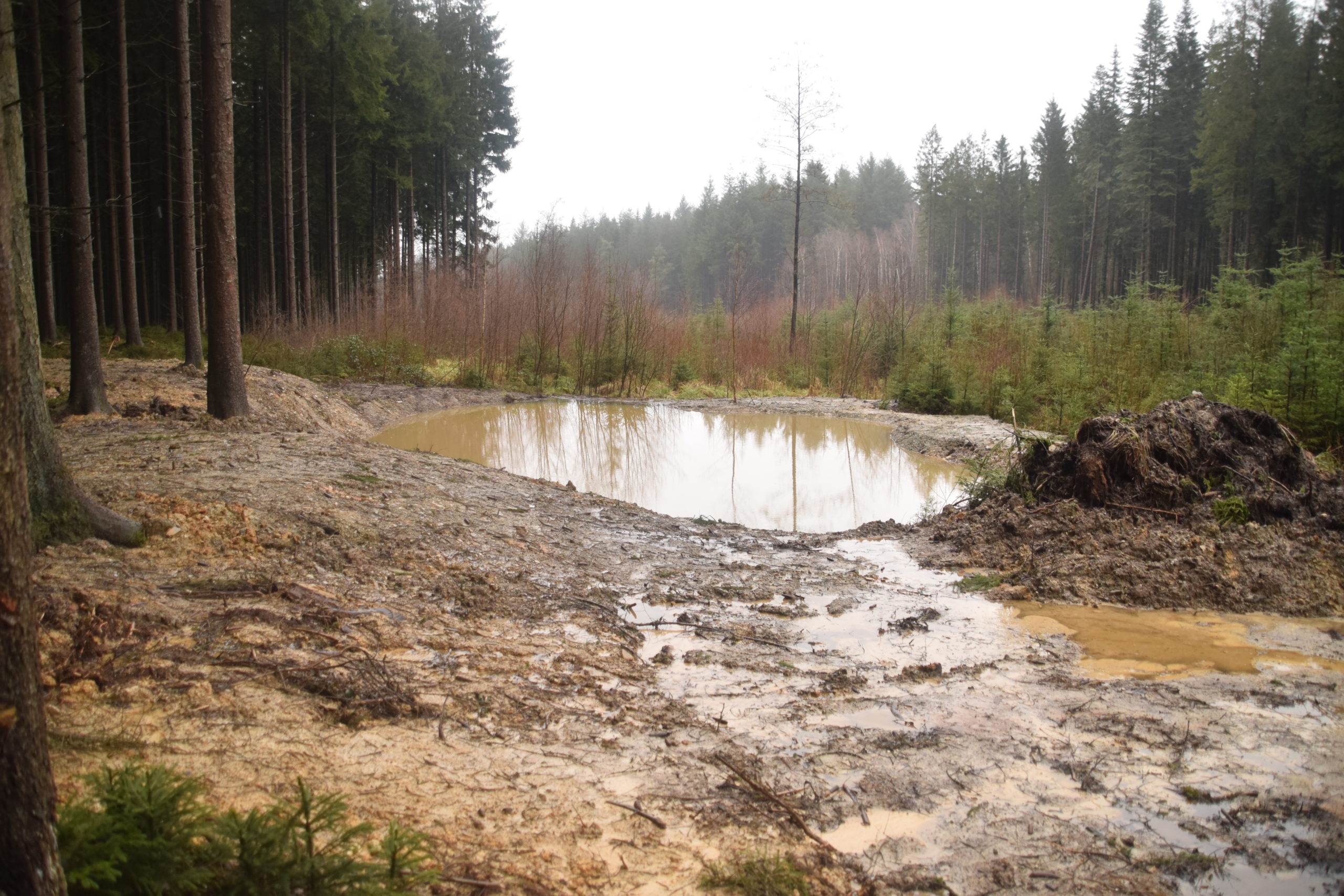 Création d’un réseau de mares forestières