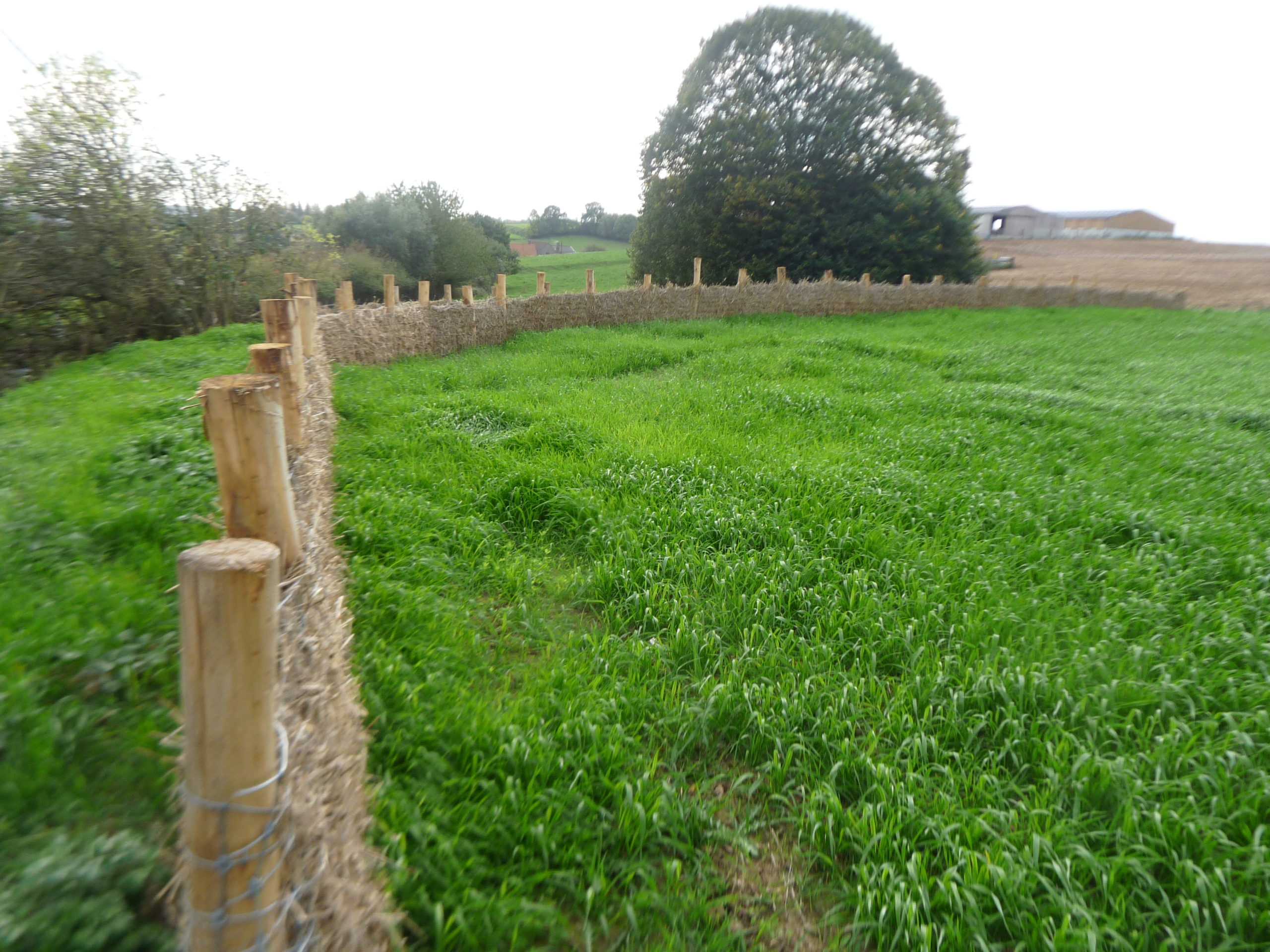 Les sols agricoles du Pays des Collines sous la loupe!