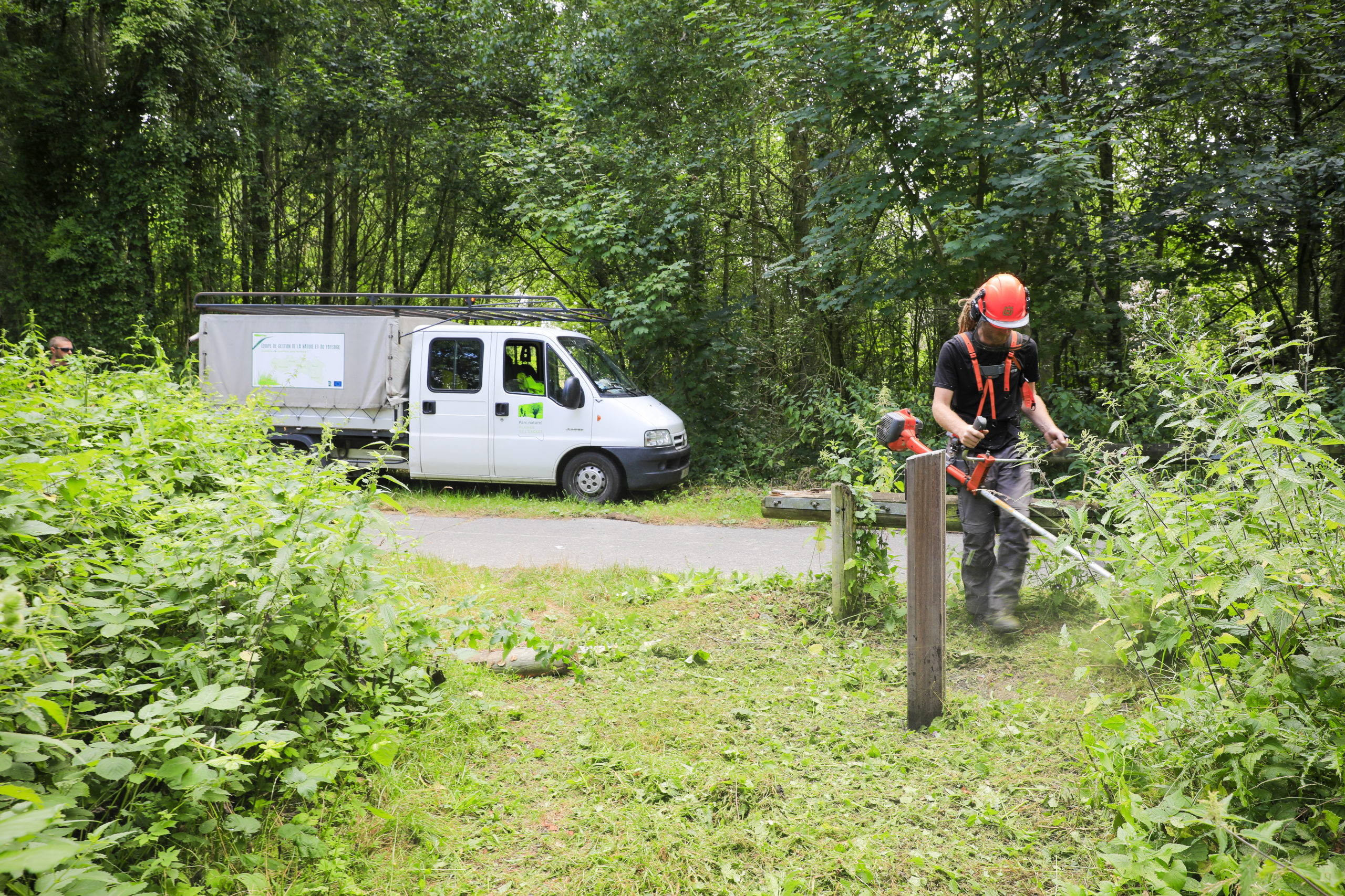 Insertion socio-professionnelle et gestion de la nature