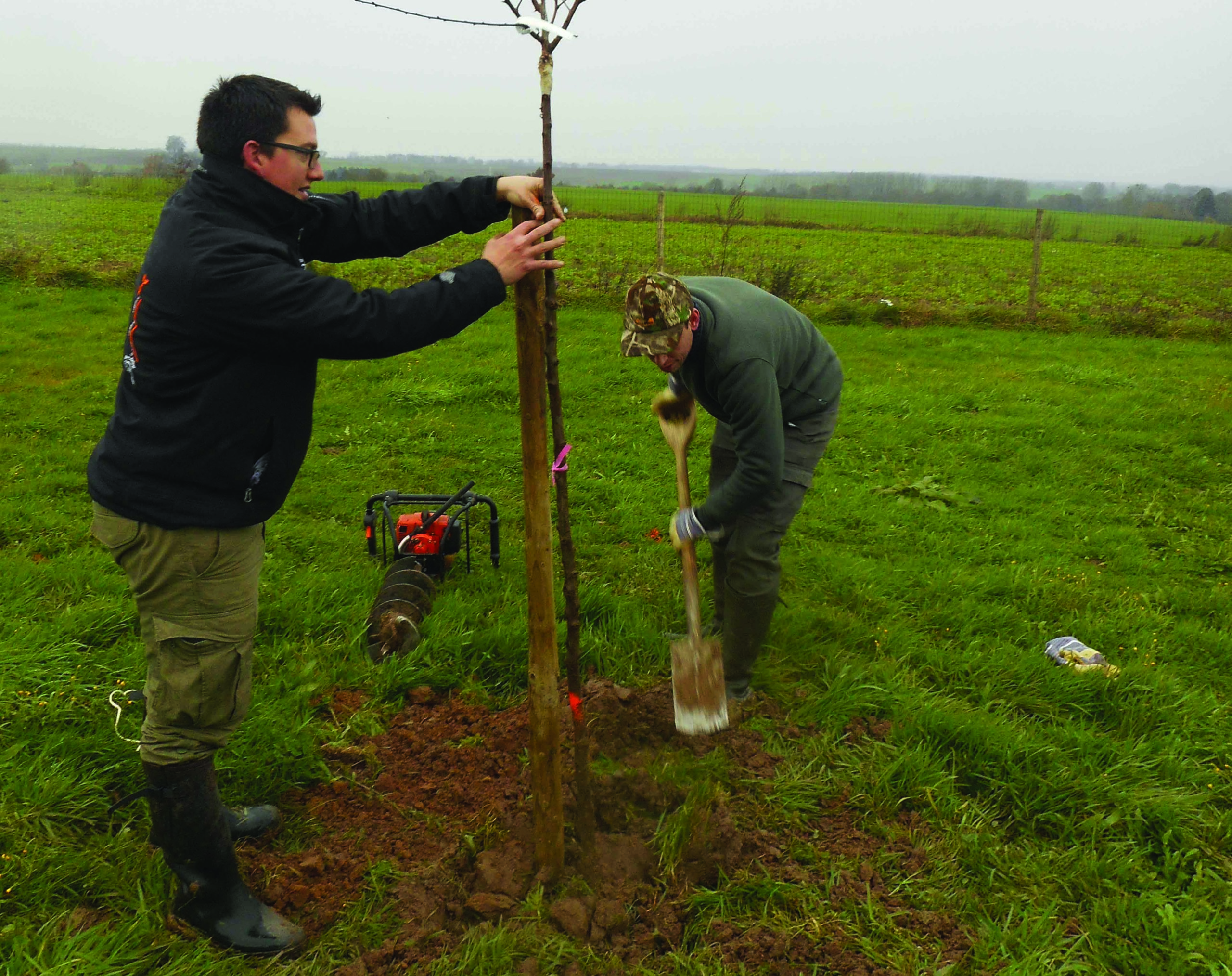 Restaurer les éléments bocagers