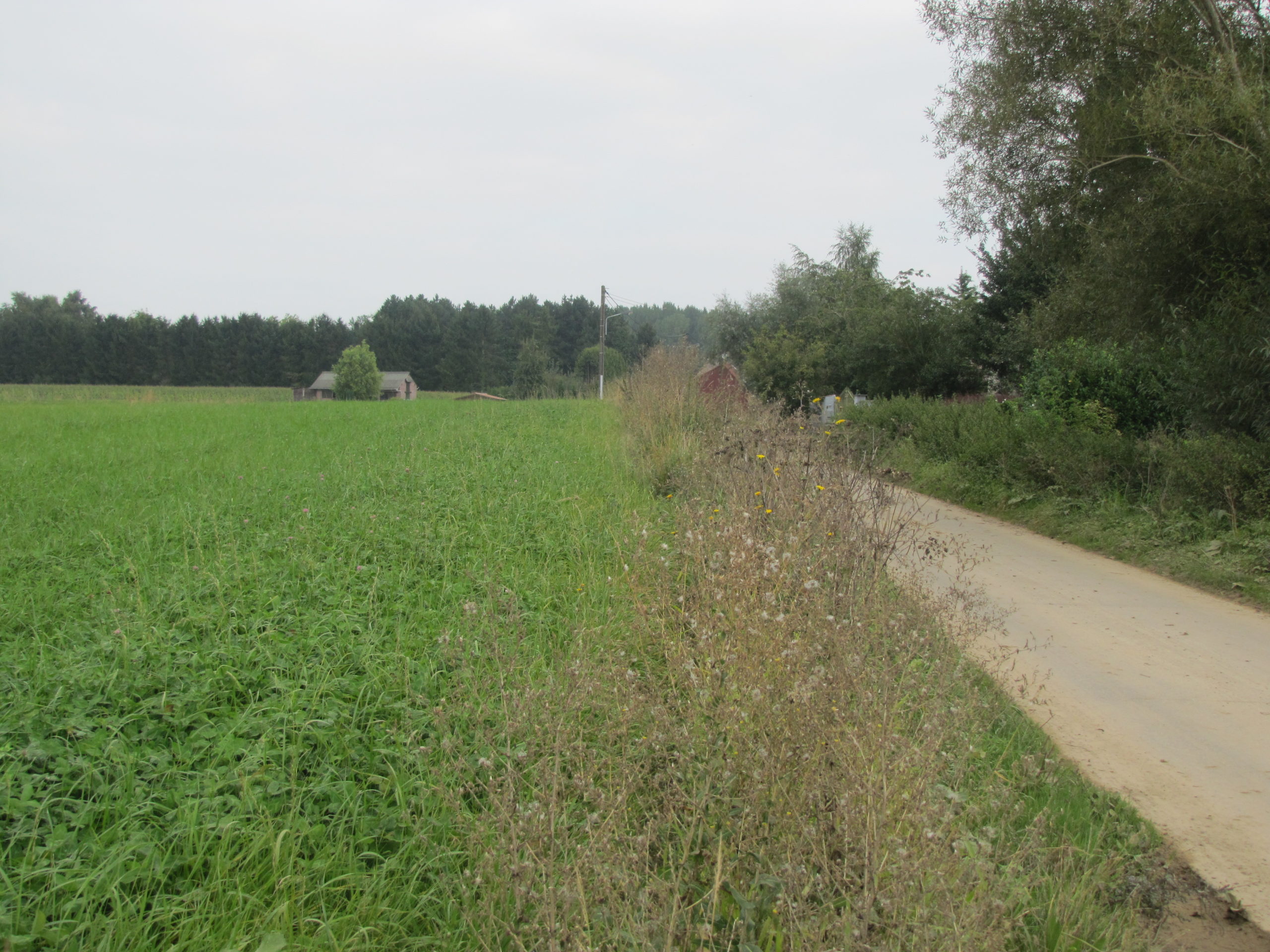 Des propositions d’aménagements paysagers pour accompagner un remembrement