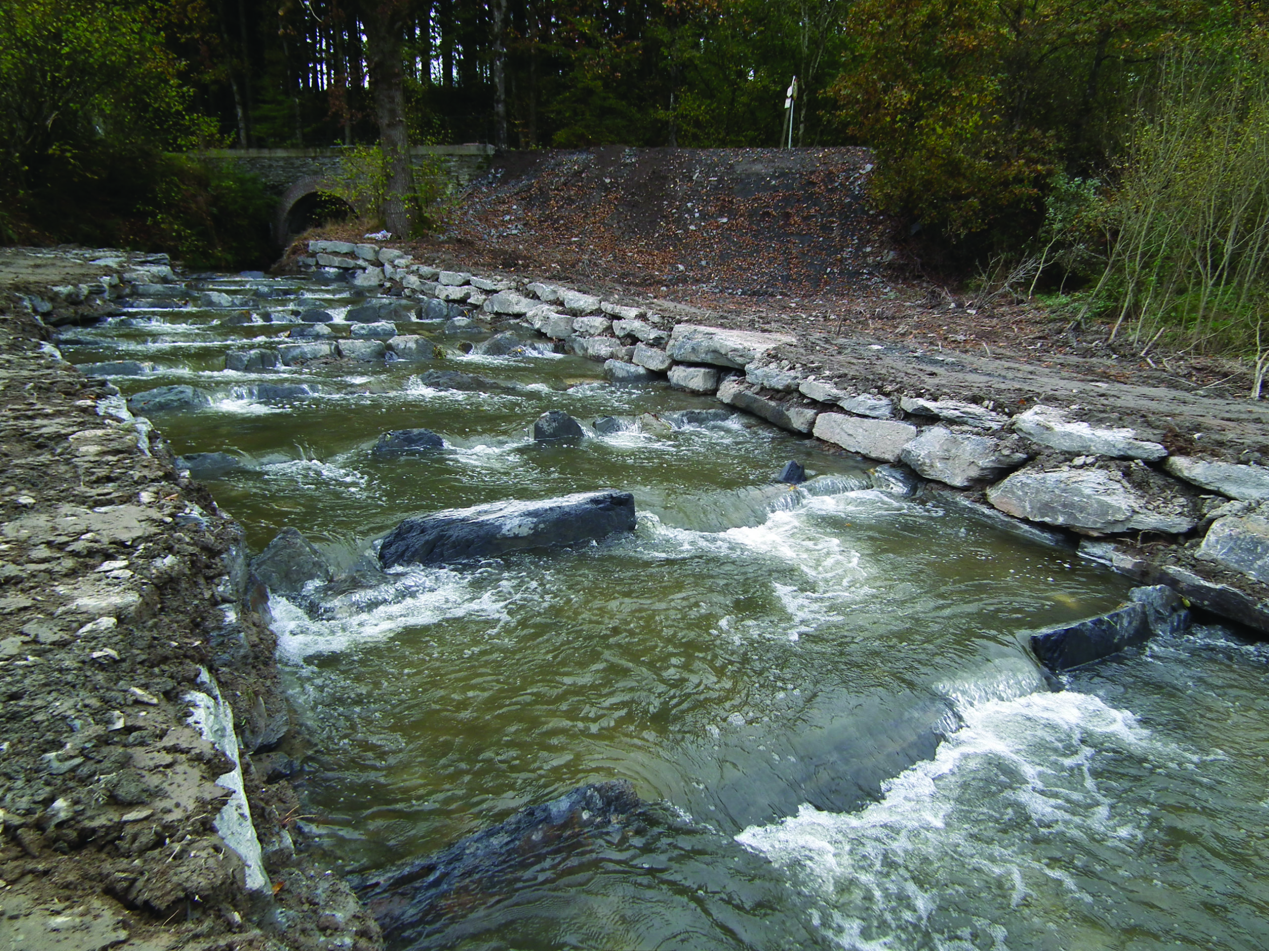 Nouvelles passes à poissons dans le bassin de la Sûre