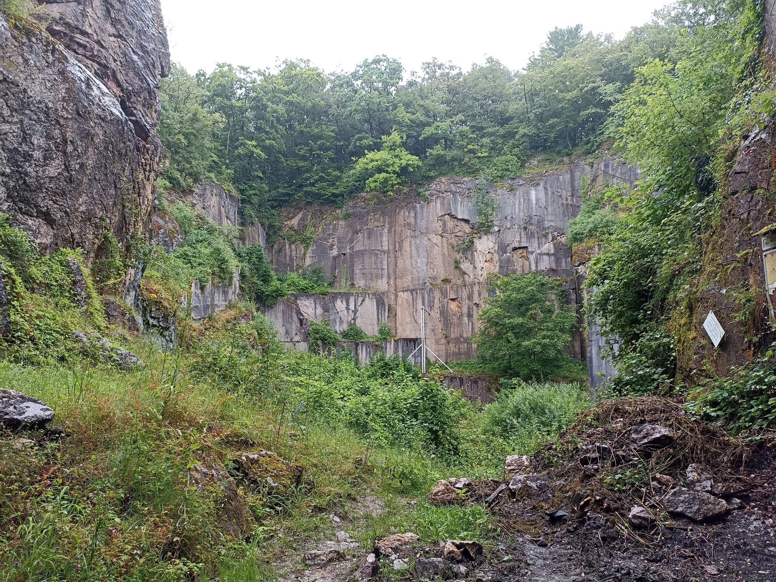 Les carrières abandonnées, hauts lieux de la biodiversité