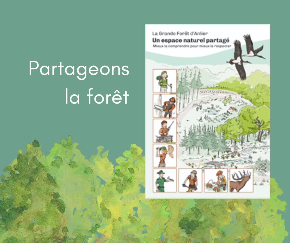 Partageons la forêt