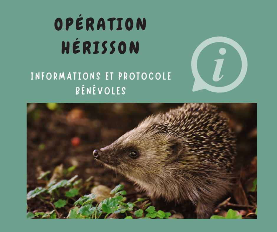 Opération Hérisson : informations bénévoles
